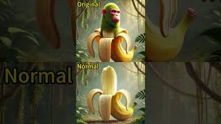 All Brainrot Animals But They Normal This Is The End Brainrot