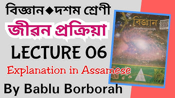 Life Process (জীৱন প্ৰক্ৰিয়া) | Lecture 6 | Science | Class 10 | Assamese Medium by Bablu Borborah