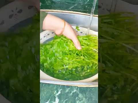 الحاج صاحب البيت بيقولي يلا يا بت يا هنوده وانا ماليه ايه اعميللنا حله محشي فاجئته