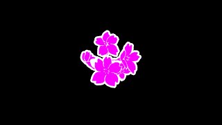 RikuSakura