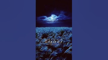 ١٩ سبتمبر، ٢٠٢٥ سورة إلاخلاص قارئ الشيخ سعد الغامدي