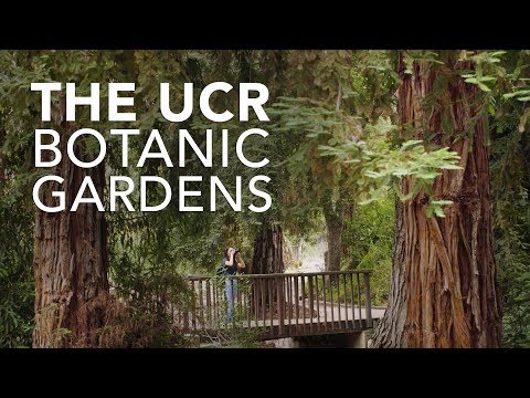 The Ucr Botanic Gardens A Living Museum Youtube