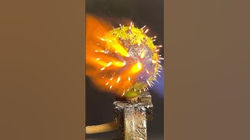 Chestnut on fire MACRO ASMR #asmr #satisfying #macro