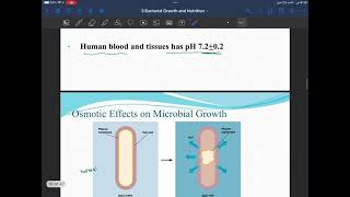 Micro - lecture 3 part 3 - Doctor Hazem