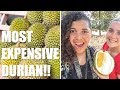 TRYING DURIAN FOR THE FIRST TIME // MUSANG KING