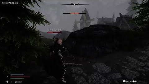 SKYRIM Counter Attack