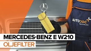 Hur byter man Motoroljefilter MERCEDES-BENZ E-CLASS (W210) - videoguide