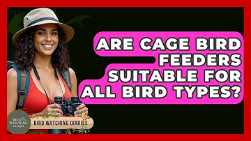 Are Cage Bird Feeders Suitable For All Bird Types? - Bird Watching Diaries