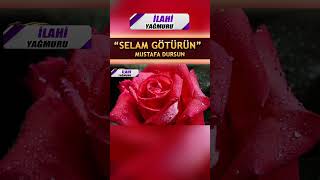 Selam götürün - Mustafa Dursun - İlahi Yağmuru #ilahiler #ilahi #ilahidinle Resimi