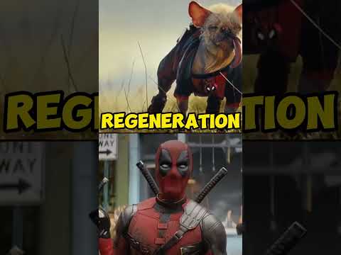 did you know
