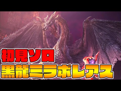 ミラボレアスに初見ソロで挑む男【モンスターハンターワールドアイスボーン】