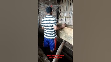 Bahan pendopo joglo soko 40cm kayu jati Perhutani Blora #shorts #teak #wood #sawing #working