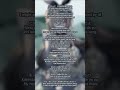 【 ACAPELLA Ver. 】アンノウン･マザーグース (Unknown Mother-Goose) / tapiocaalice cover #VTuberID #VSinger