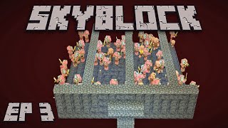 Skyblock Lets Play: Back to the Nether - Episode 3