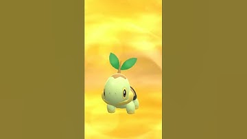 THE BEST GEN 4 SHINY STARTER?!? #pokemon #bdsp #shorts