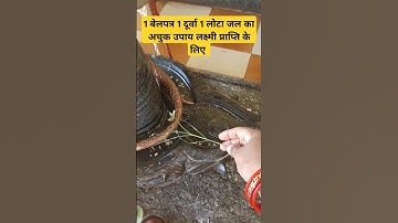 1 बेलपत्र 1 दूर्वा 1 लोटा जल का उपाय लक्ष्मी प्राप्ति के करे #pradeepmishra #laxmipraptiupay #today