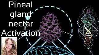 Pineal gland with celestial nectar activation. Experience the Christ oil in your bodily system