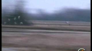 Scene di Caccia screenshot 5