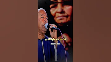 ياسر رشاد ابويا سابني فى اللفه لقيت جمل المحامل أم 