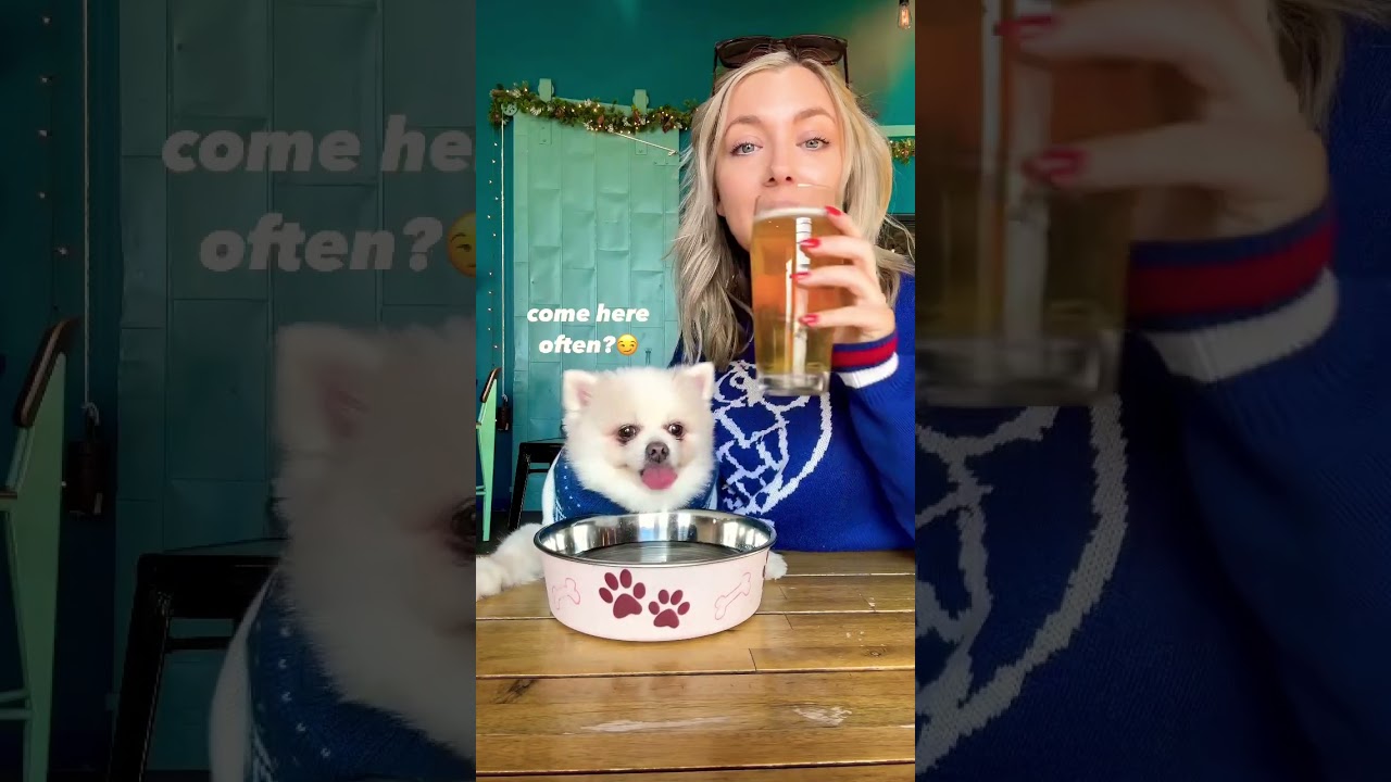 Doggy Brewery Review at Night Shift Brewing 