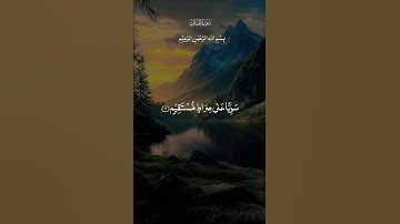 #القرآن_الكريم #المصحف #اكسبلور #تلاوة_خاشعة #duet #دويتو #راحة_نفسية #لايك #تيك_توك