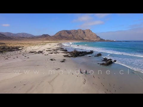 Stock Footage -