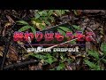 終わりはもうそこ/Sputnik Dropout