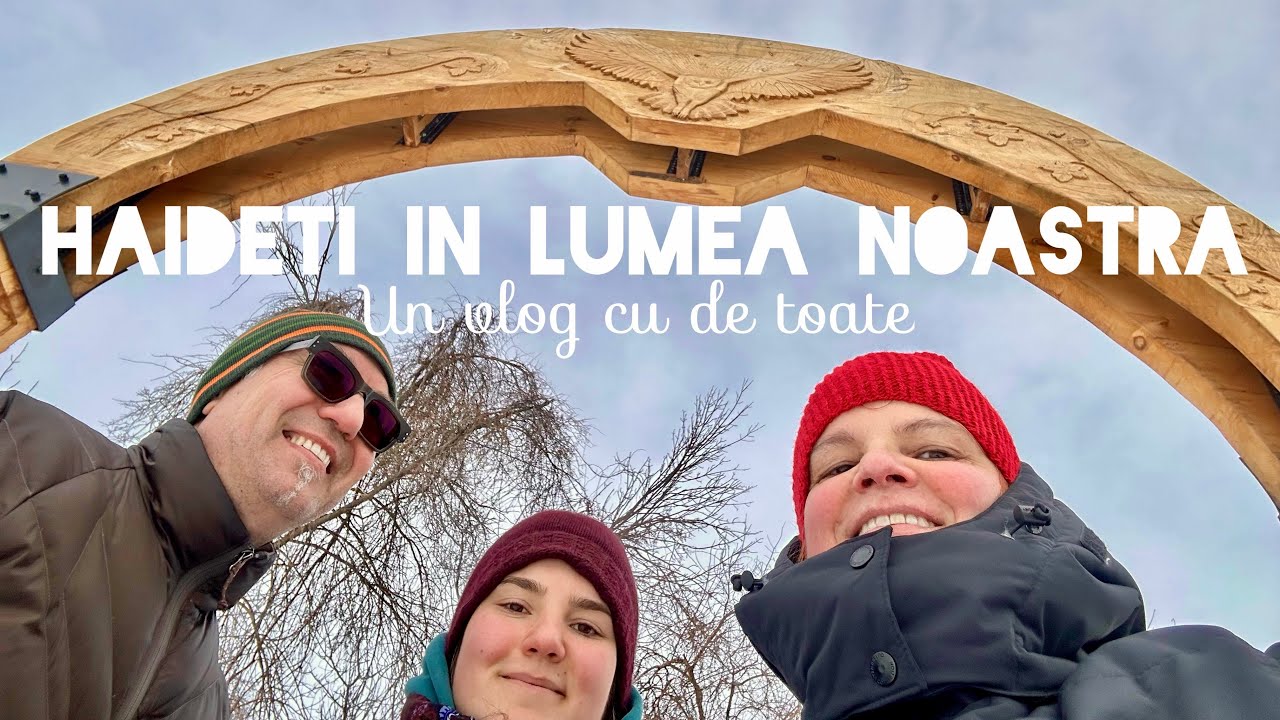 Studiul anatomiei | mergem la resto vietnamez | cumparaturi asiatice | la plimbare si hockey