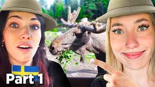 Wir waren auf Safari in Schweden