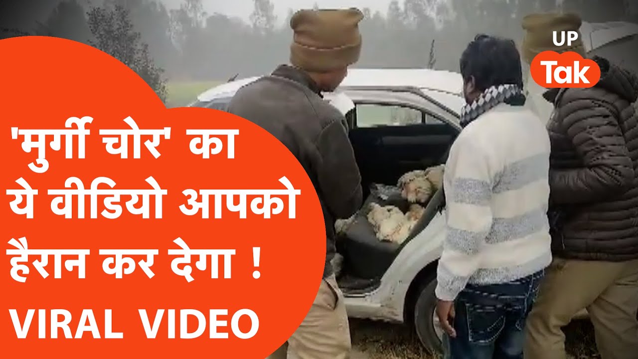 Unnao news: मुर्गी चोरों का ये वीडियो वायरल है, देखिए तो सही!