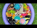 Ocean Animals Learning Adventure | Learn Names, Facts &amp; Educational Toys for Toddlers