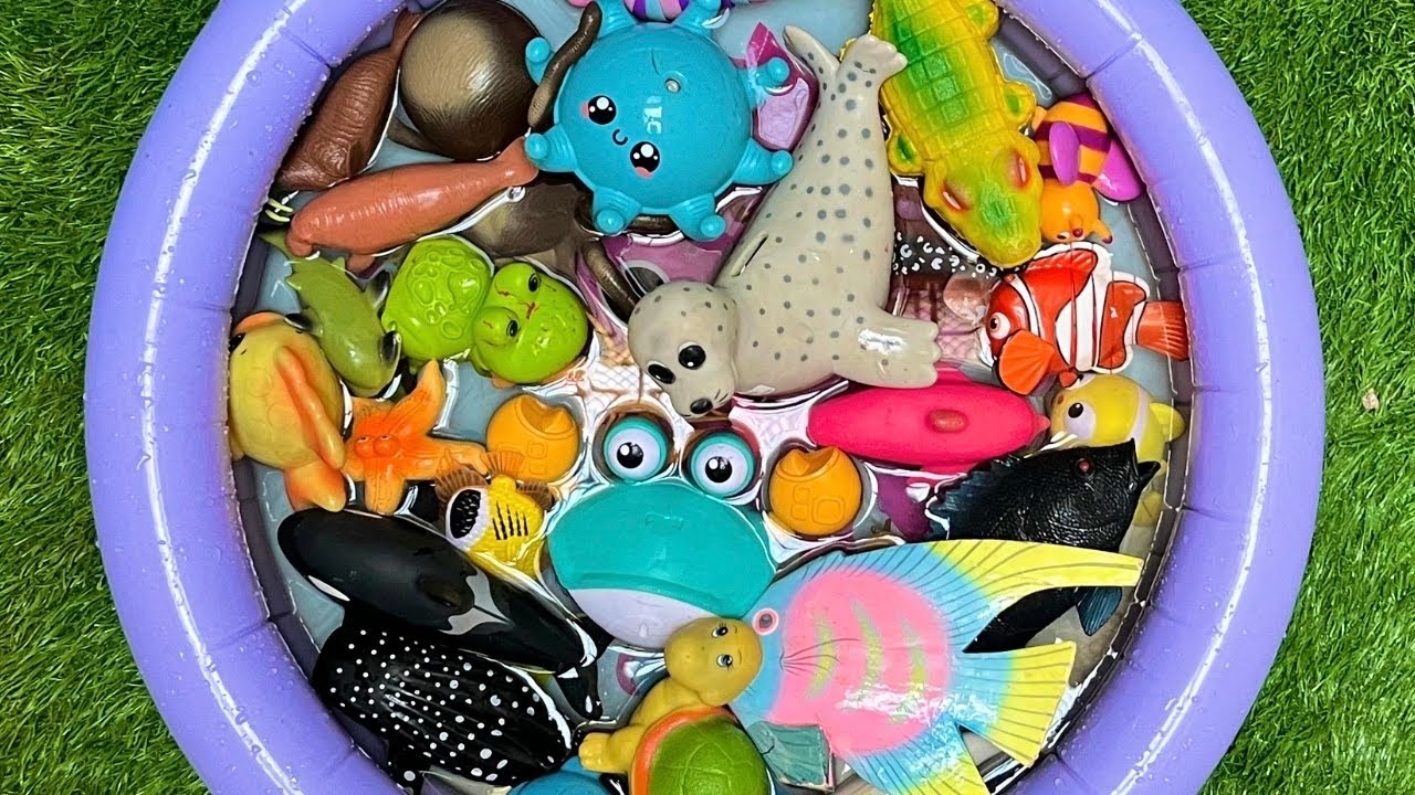 Ocean Animals Learning Adventure | Learn Names, Facts & Educational Toys for Toddlers