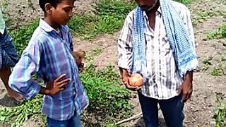 Checking ground water using coconut