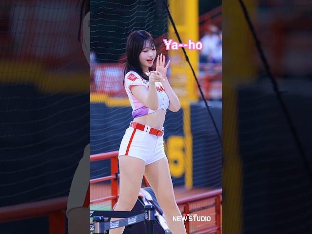 ' 드래곤 야ㅡ호 "