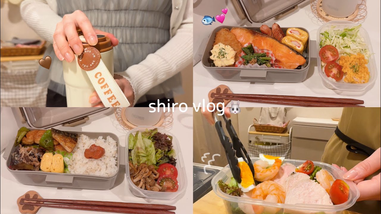 ［食費月1万円］社会人OLのお弁当１週間🍙✨/ 家計管理も公開✍️💖