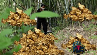 The gold nugget that makes people rich, the process of being excavated is fully recorded