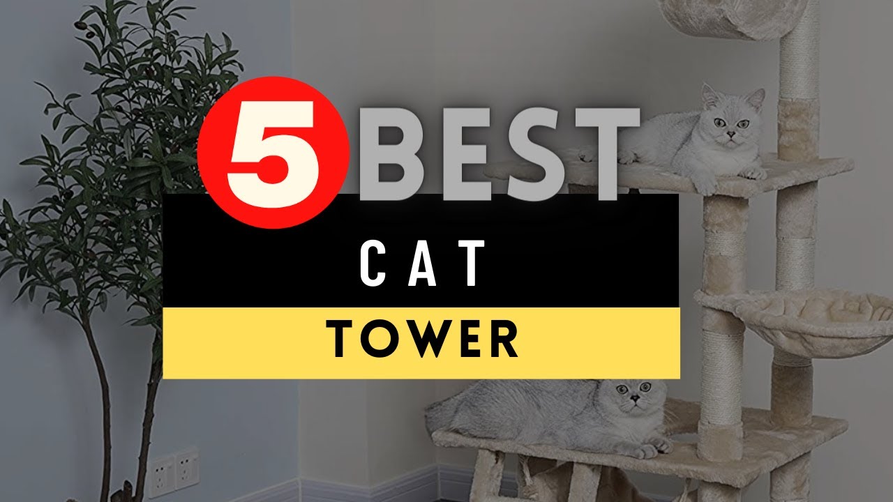 Best Cat Tower 2022 🔶 Top 5 Best Cat Tower Reviews