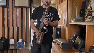 Jinbao Jbas-200S Alto Saxophone