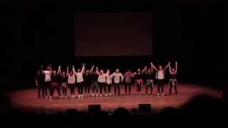 LASO DA Performance 2015