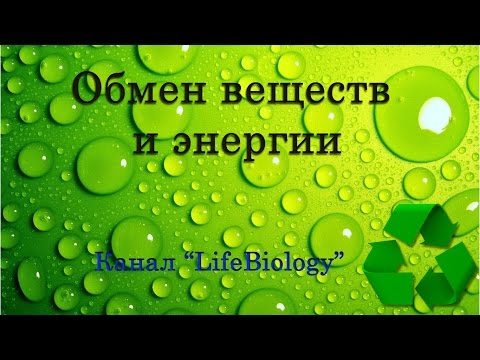 Обмен веществ и энергии