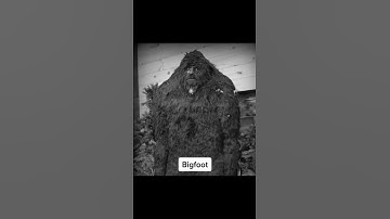 Thumbnail of Mythical Creatures Caught On Camera #shorts #mythical