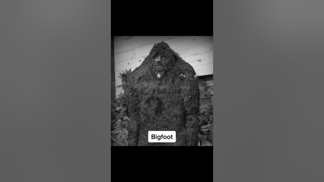 Mythical Creatures Caught On Camera #shorts #mythical