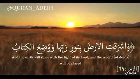 وأشرقت الأرض بنور ربها بصوت خالد الجليل /قرآن كريم/مقاطع قصيرة/تلاوة عطرة/حالات واتساب