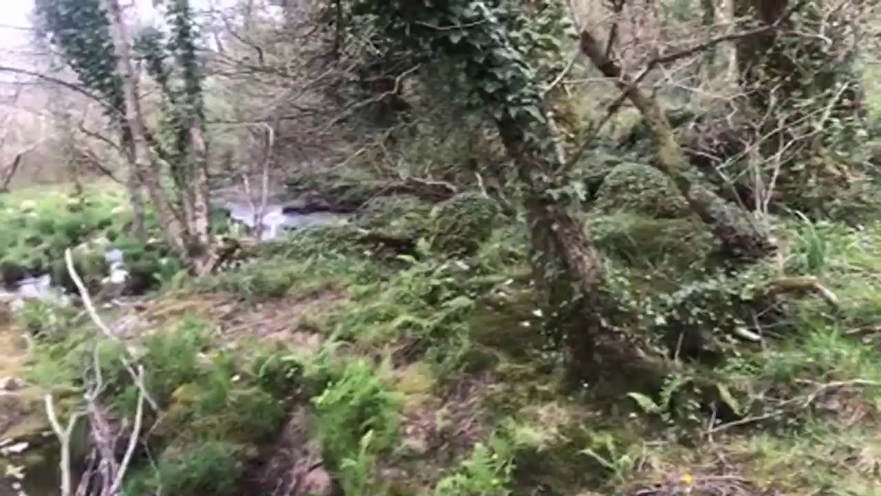 Rutas de senderismo por la cascada de Firvado