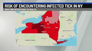 Risk of encountering infected ticks in NY remains high