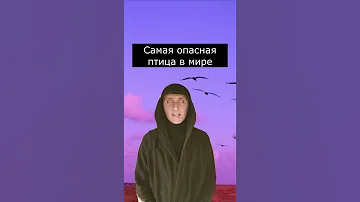 Самая опасная Птица в Мире