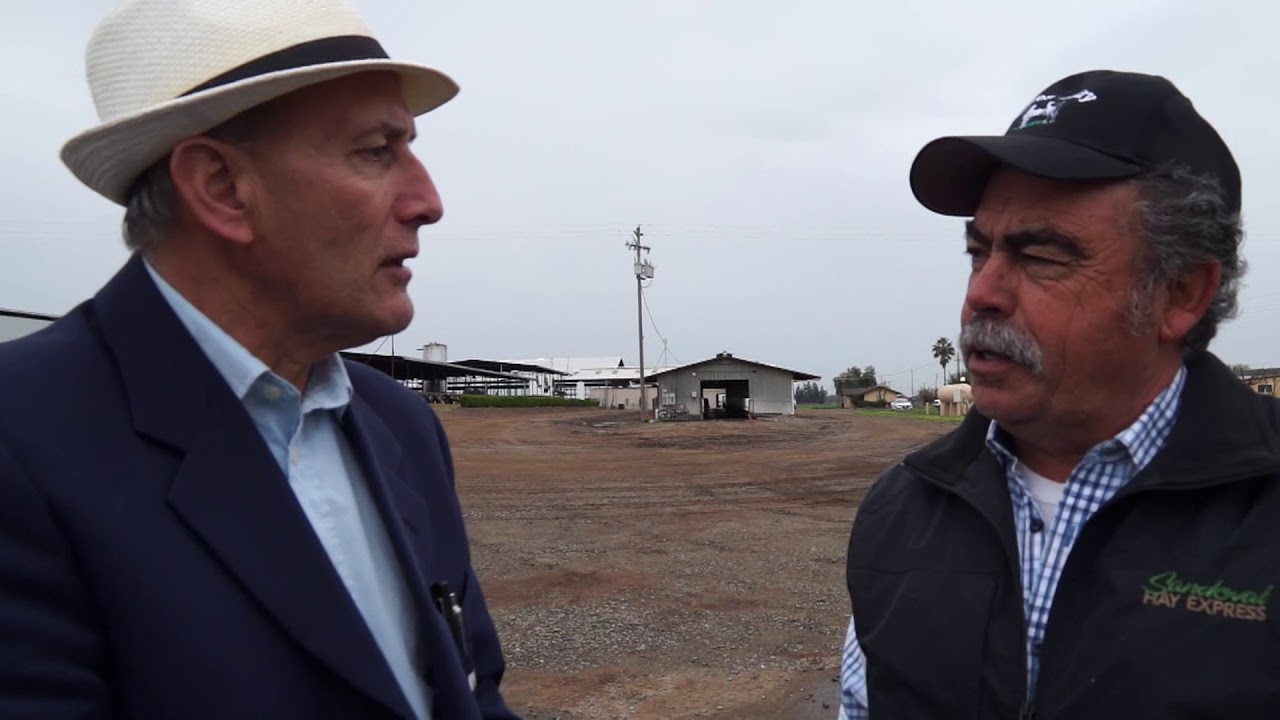 Leitaria Antonio Nunes