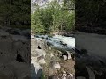 Yosemite National Park,California#shorts