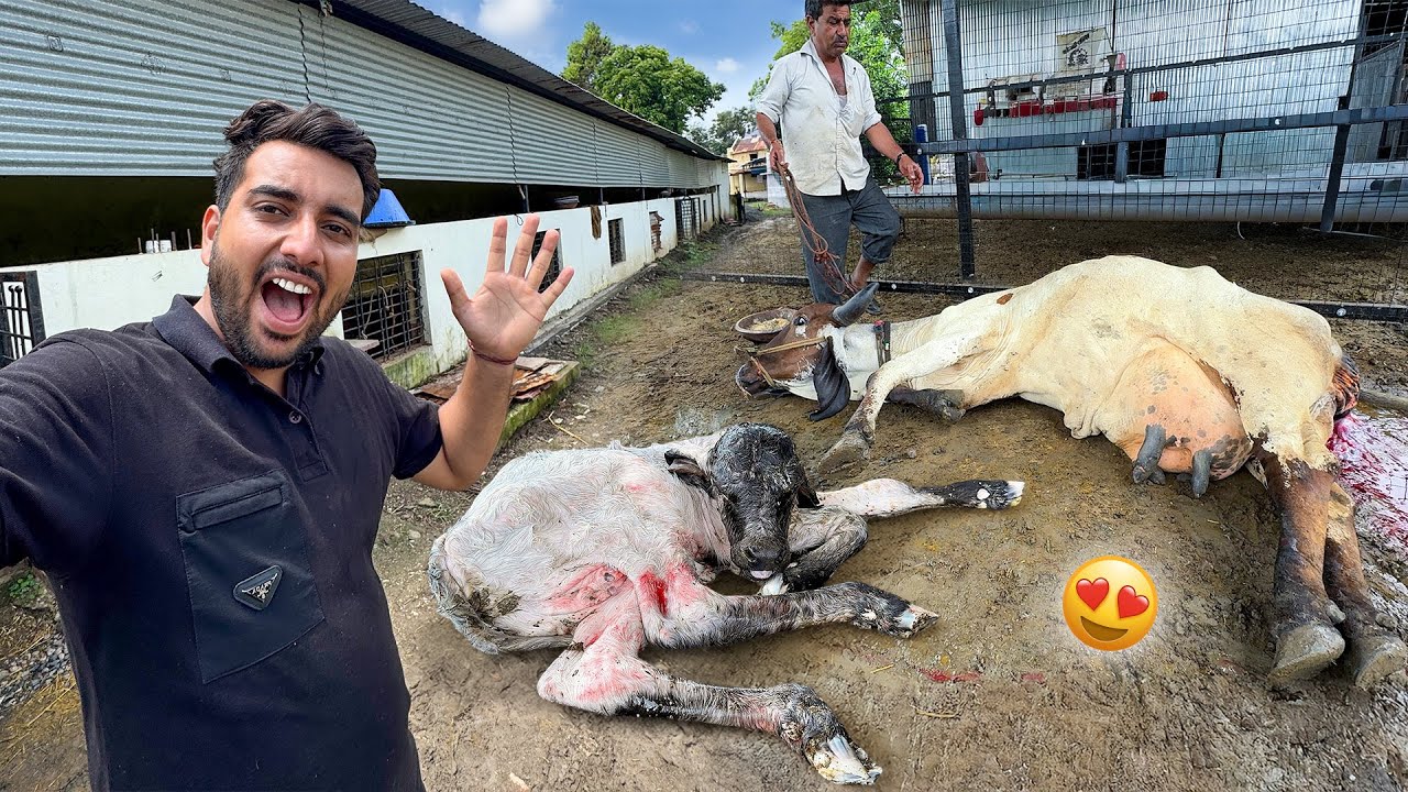 Finally Kabari Ne Delivery Dedi😍