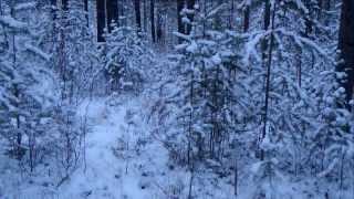 Снег и камни , Зима в Озёрске , озеро Акакуль Снег и камни , Зима в Озёрске , озеро Акакуль